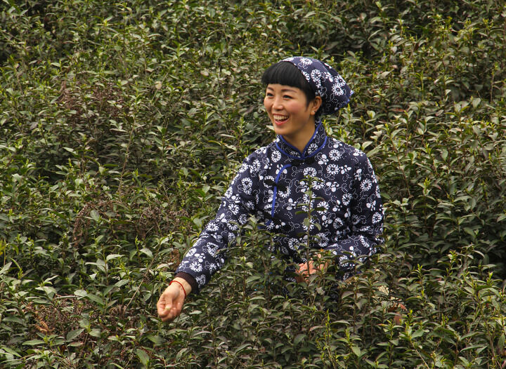 禁忌聊天室